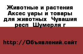 Животные и растения Аксесcуары и товары для животных. Чувашия респ.,Шумерля г.